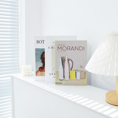 Modern simple English fake book decoration ins style Nordic simulation book model room clothing store background photo props