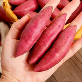 膨化;方便面类;节庆用品