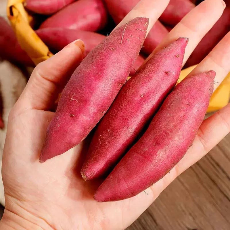 天目山小香薯新鲜红薯沙地蜜薯黄红心板栗番薯糖心地瓜手指薯批发