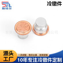 冷镦加工铜铝复合极柱