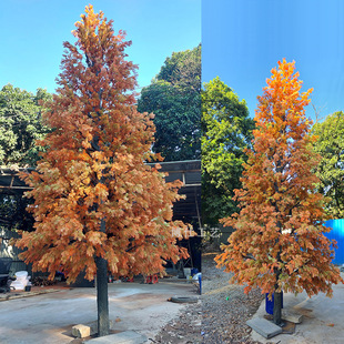 ����ѩ������Gֲ�_�h�ɲ���䓼٘��y�Ӽt��ӭ���ɰؘ�ˮɼ ��ɫ