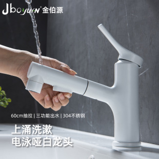 304 Stainless Steel Water-Plated Matte White Pull-Out Mouthwash Multi-Functional Basin Hot and Cold Faucet Bathroom Bathroom