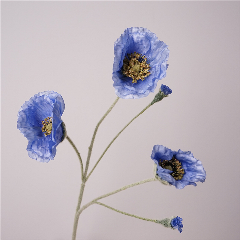 5 양귀비-블루