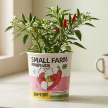 ����؈��С�r����ͯȤζDIY���߷N�ӾGֲ������������[���Nֲ��