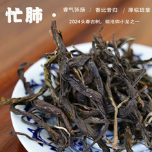 ���læ�β�2024���^���R������æ�ιŘ����������ζM����ɢ��