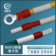 bvBӾ 6.0ƽ늾늙 p^E6012A^~䉺Ӿ