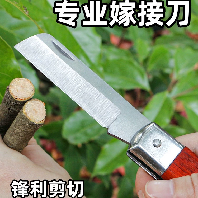 Складной нож для прививки фруктовых деревьев, инструмент для прививки пленки, полный набор рамок для прививки больших деревьев, ручной нож для прививки