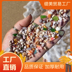 Real Shell Conch Mini Small Shell Decoration Handmade DIY Shell Photo Frame Storage Box Fish Tank Landscape