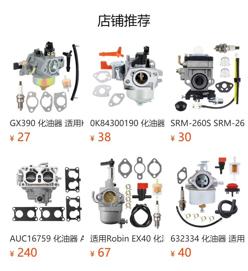793784 796122 Carburetor 20m107 20m113 794593 Snow Blower 696737 793161