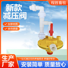 �¿�����{�����߉��Bֳ���ݿ��{���{�����p���y�Bֳ�{�������