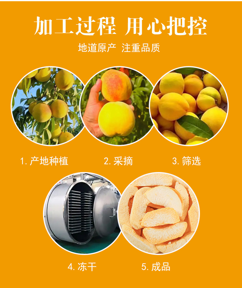 Freeze-Dried Yellow Peach Dices (Prunus persica) — Bulk Fruit Tea & Snack Ingredient in use