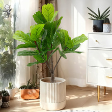 简约北欧风高端轻奢人造手感过胶叶仿真绿植蜻蜓叶琴叶榕假树盆栽