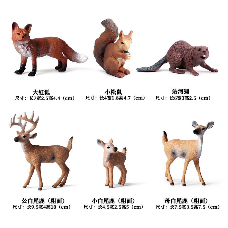 야생 동물 6 (소)