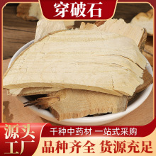 材穿破石 川破石 地锦根 柘根 可打粉