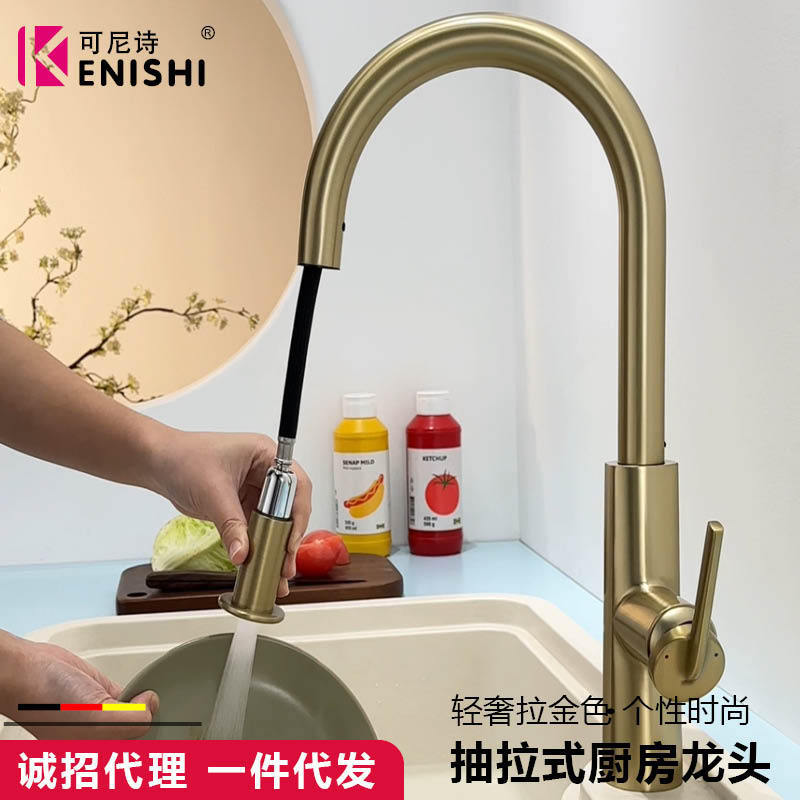 Cross-Border Exclusive Supply of Kitchen Faucets, Sink Faucets, Pull-Out Faucets for Dishwashing Sinks Cross-Border Exclusive Supply of Kitchen Faucets, Sink Faucets, Pull-Out Faucets for Dishwashing Sinks