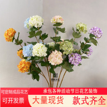 ������ꖽ��� �Ƶ�[�� �͏d�����[�O ��c·���Ҿ��b��Ӱ巿
