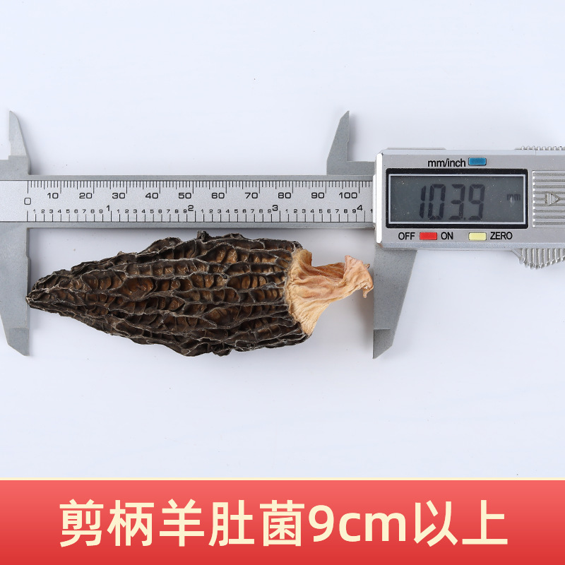 9cm 이상 가위 손잡이 모렐 500g 첫 번째 그루터기