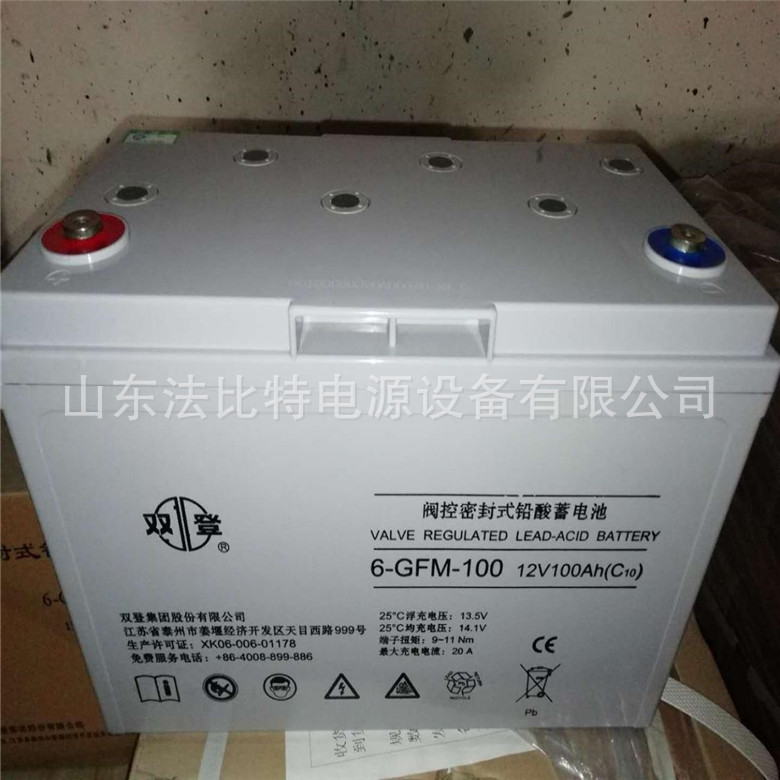 双登阀控式蓄电池6-GFM-100免维护12V100Ah 通讯消防电池