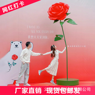 һ��W�t���ͳ�����õ�廨�����ٻ���Y�̈����÷��滨���ͼ�ˇ��