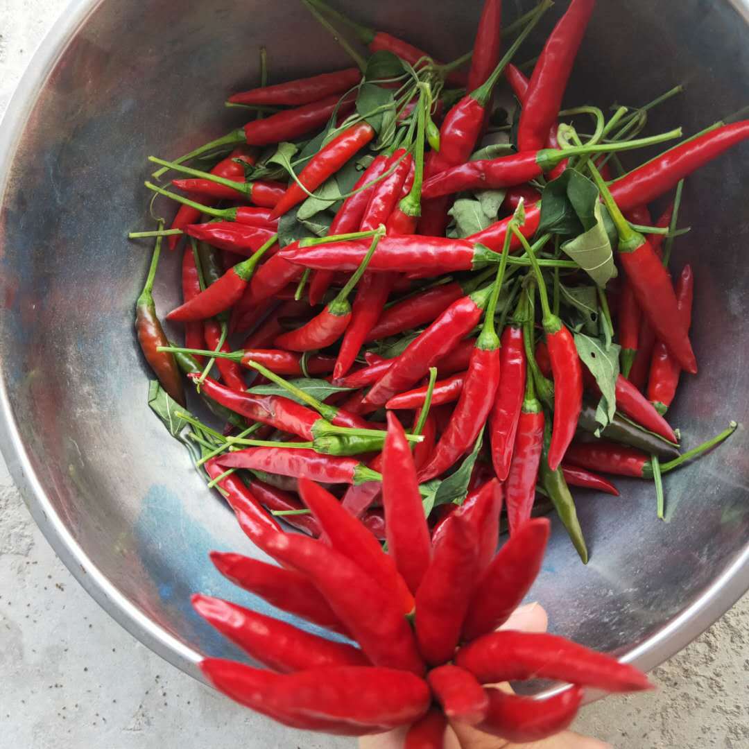 aab44ae23ed4f9a013c24349867504