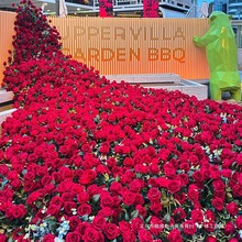 õٲٻٲWtõ廨b̈