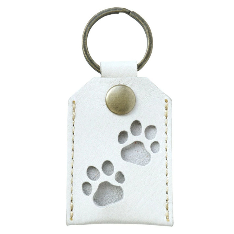 微信图片_202503261434221