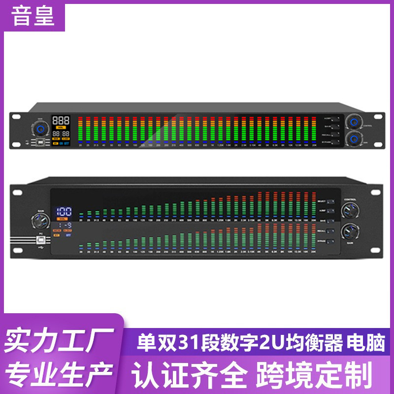 Dual 31 Segment Computer Equalizer Professional Home Stage Performance Senior high school Bass EQ Noise Reduction Bar Digital Tuner