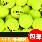 网球训练球大学生体育课用球初级训练网球耐打包邮一件起批跨境