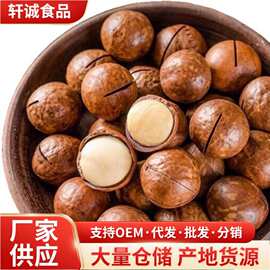 代发夏威夷果奶油味环形大开口饱满大颗粒夏威夷果坚果炒货零食批