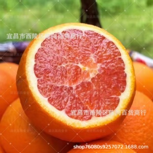 �������l���A�tѪ�����w�������r�t��ˮ��Ě�ȶ�֭�����r������