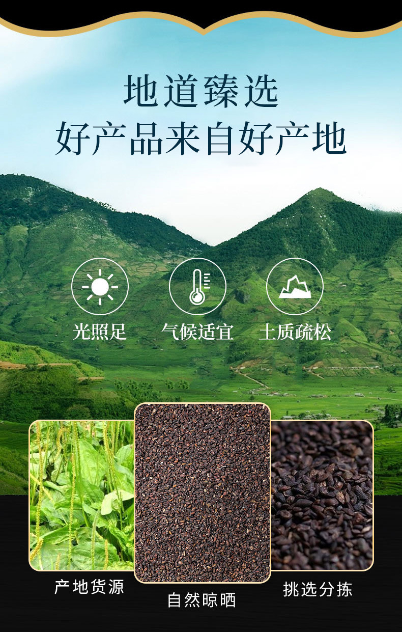 Plantain Seed (Plantago asiatica) — Dried Che Qian Zi Herb, 500g overview