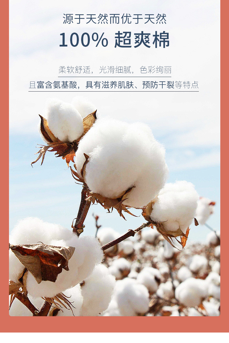 2345_image_file_copy_5