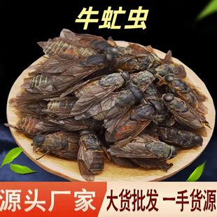ţ��x ��ș��ţ���� ��� ���l����x �\��ș��Ҏ���Rȫһ�����l
