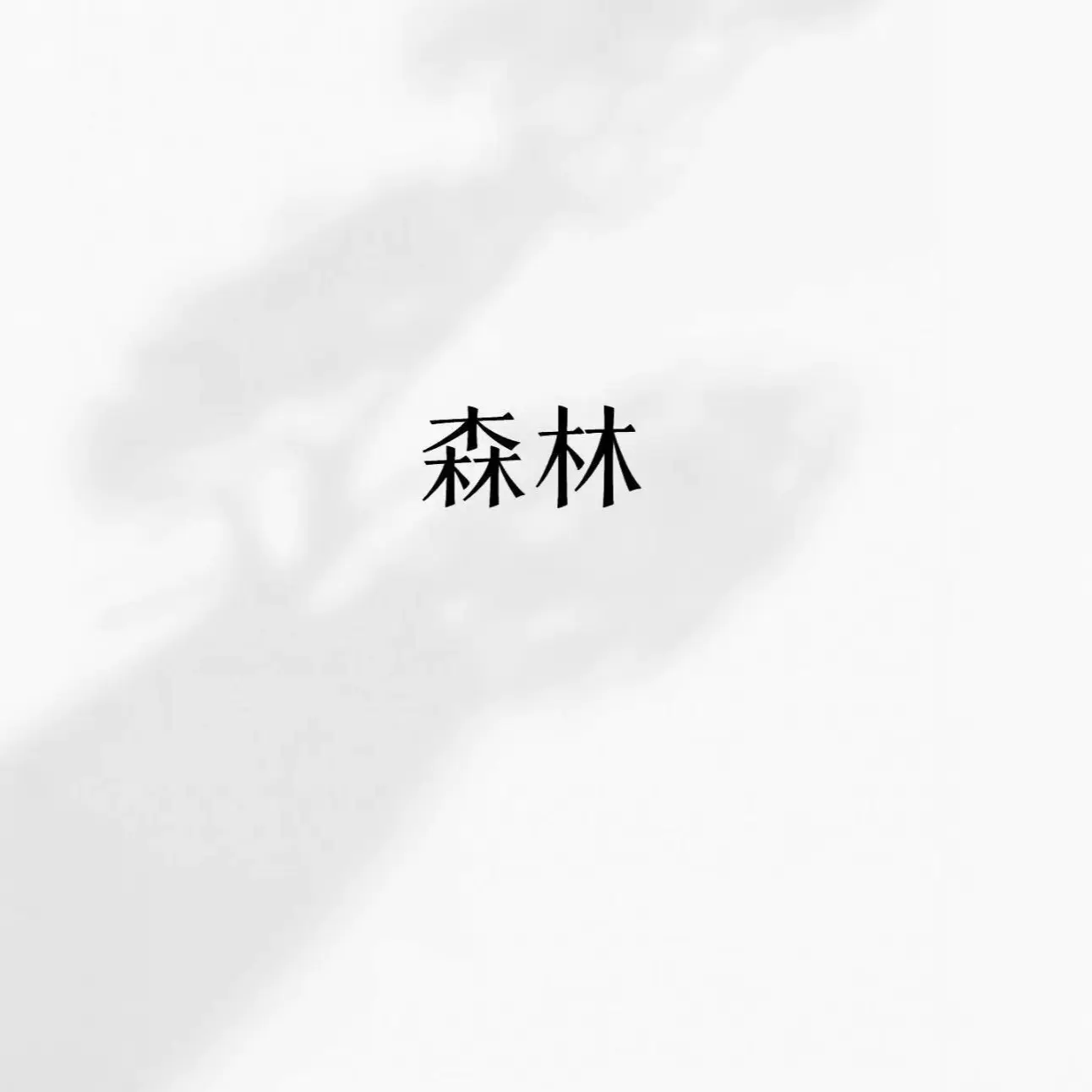 xhj059  2025年秋冬季新款印花宽松版连帽卫衣男女同款百搭卫衣