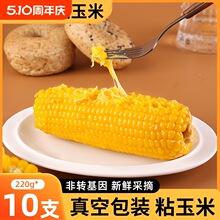 �|���SŴ���װ�10֧��؛����b�S���׬Fժ���r��������ճ�ּZ����