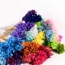 ��ϲ�ɫ��β�ݸɻ�����������ins�Ldiy�廨�ػ�