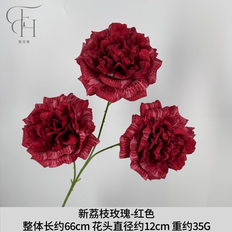 Nueva rosa litchi