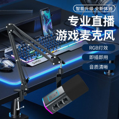 WM13悬臂支架超心形指向USB跨境直播话筒  RGB动圈游戏麦克风