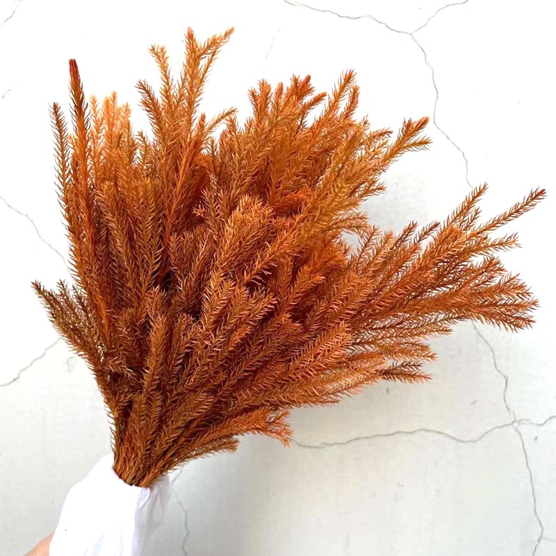 微信图片_20210118233401