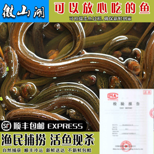 ΢ɽ�����B�S�X�X�~���r���~�F���l؛���S�X�L�~ȥ���XƬ�X�z�X��