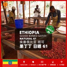 ���հ��]�������ȁ��M�ڰ�ɹ������Օ�G1��Ʒ��������2025�®a��