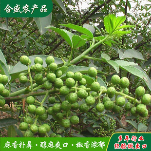 �����໨���w���{�������ϻ�偵����໨���{ζƷ�齷��偵����ٽ�