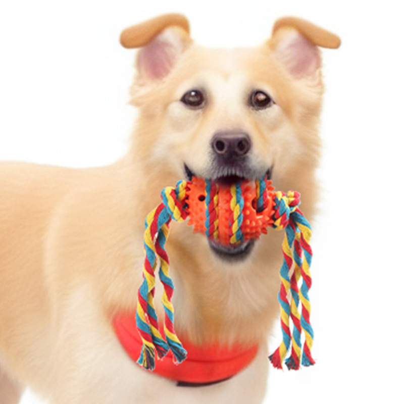 Brinquedos duráveis para mastigar para cães, ossos de TPR para limpeza dos dentes, escovas de dente para cães com dispensador de comida._voghion.com