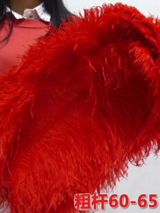 60��65cm�֗U��ë�r�B��ë ɣ���赸�Ʒ�����c