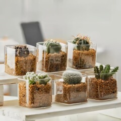 多肉植物高ホウ素シリコンガラスシンプルな植木鉢植物サボテン水培植物方形透明微景観瓶