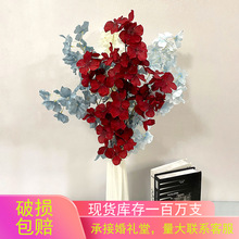�ҾӲ���b��Ĳ���ѩ�����һ�ƿ�[�O�ٻ���Y���b����S�����l