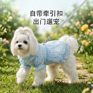 狗狗衣服春夏季镂空网纱透气牵引连衣裙中小型犬泰迪比熊宠物衣服