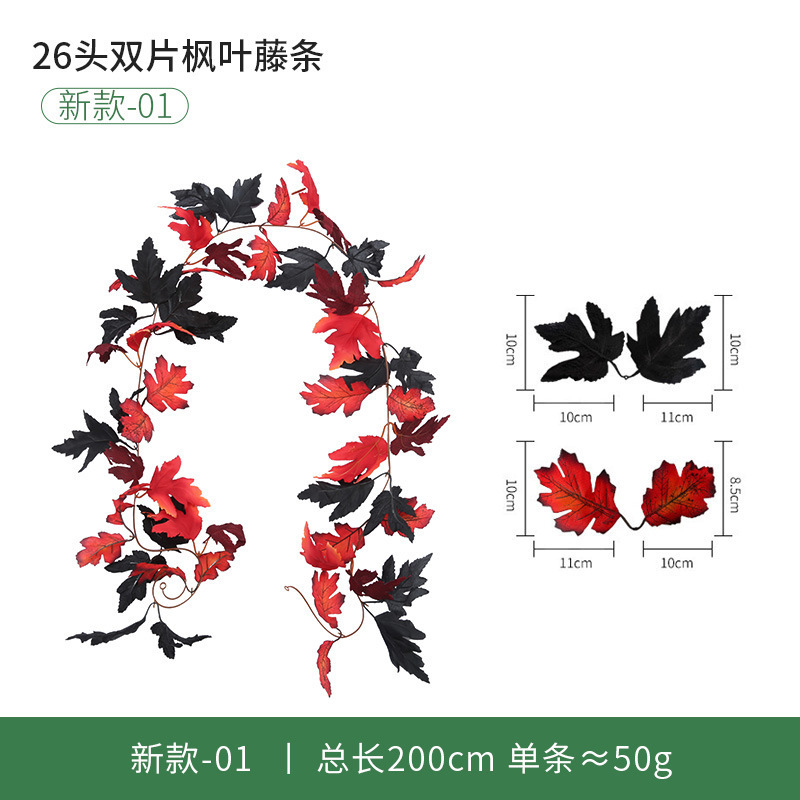 26 new model -01