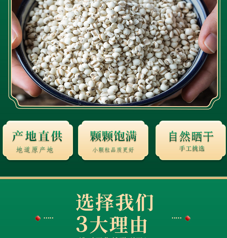 Coix Seed Yi Yi Ren 500g Dried Job's Tears Whole Grain Guizhou New Crop for Cooking and Herbal Soup key features