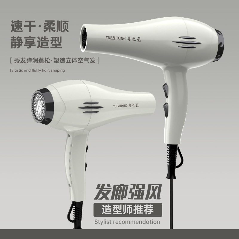 メーカー卸売ドライヤーハイパワーブルーライトマイナスイオンドライヤー家庭用ヘアサロン速乾冷熱風ドライヤー|undefined